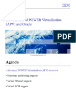 Unit 2 IBM Advanced POWER Virtualization (APV) and Oracle
