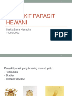 Penyakit parasit hewani.pptx