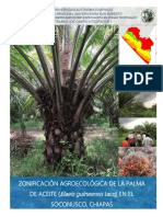 ZAE de Palma de Aceite_Soconusco, Chiapas