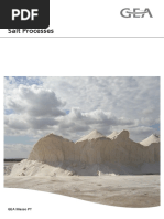 Salt Processes PDF