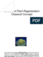 lectut-BTN-303-pdf-Callus and Regeneration PDF