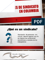 288221257 Clases de Sindicato en Colombia