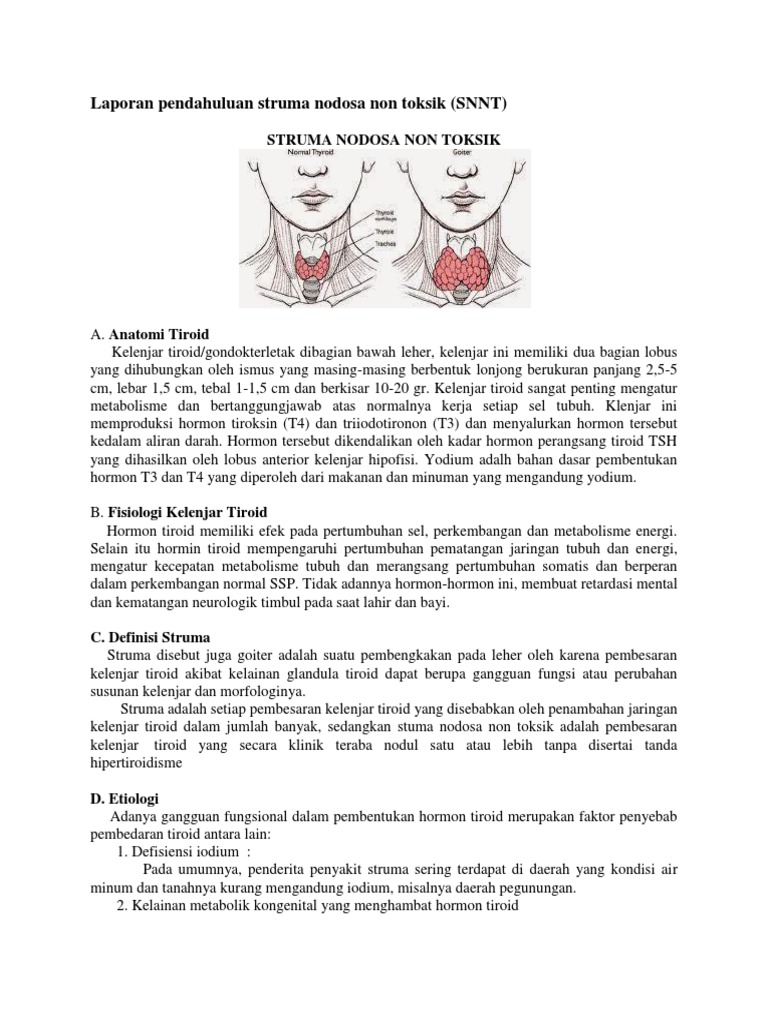 Struma Nodosa Non Toksik: Diagnosis & Penanganan | PDF