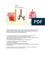 EJERCICIOS REPASO RESPIRATORIO