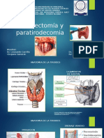 Tiroidectomía y paratirodecomia: aspectos quirúrgicos