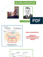 Fosforilación Oxidativa