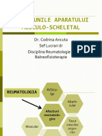 BFKT_1PoliartritaReumatoida_CAncuta_2013.pdf