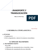 6. Transporte y Translocación
