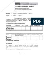 Modelo de Informe de Auxiliar 2017