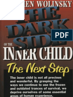 Stephen Wolinsky - Dark Side of Inner Child