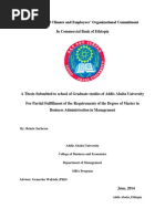 Bekele Serbessa Thesis