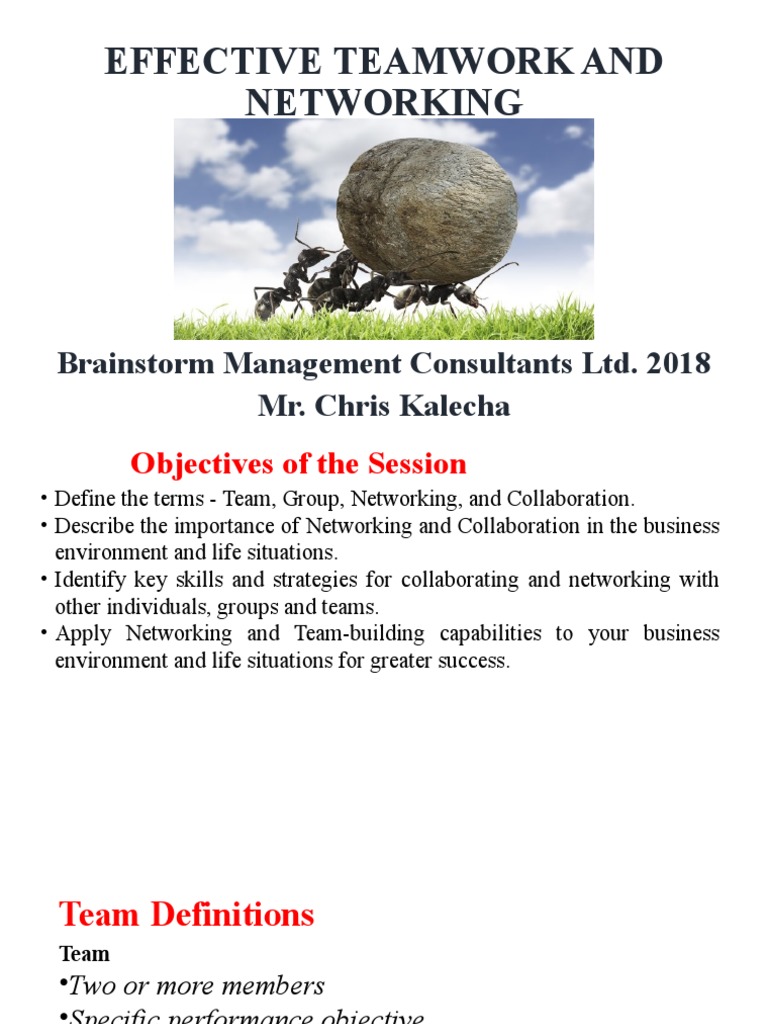 Effective Teamwork and Networking Strategies | PDF | Cognition ...