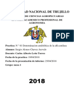 Informe N°1