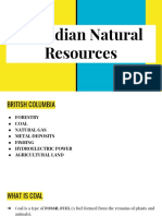 Canadian Natural Resources