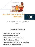 Clase 11-Digestion Absorcion y Transporte de Proteinas-Final