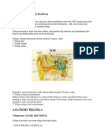 Anatomi Fisiologi Telinga