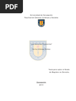 Tesis_las_Acciones_Posesorias.pdf