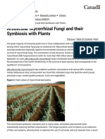 Arbuscular Mycorrhizal Fungi and Their Symbiosis With Plants - Agriculture and Agri-Food Canada (AAFC)