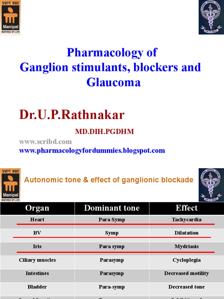 Class 5 Cholinergic System PDF Acetylcholine