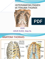 Trauma Thorax Ainur