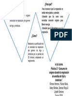 W de Gowin 3. Consumo de Oxigeno Durante La Respiración de Semillas de Frijol y Lombrices