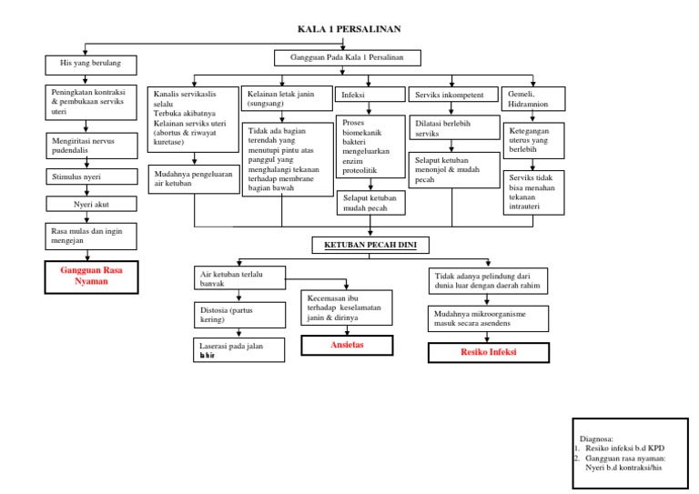 pathway-kpd-pdf