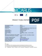 Public Report - ICARUS