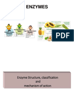 Enzyme Lec