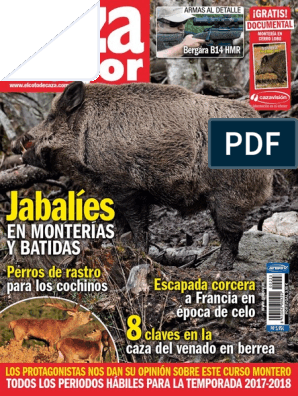 Carabina 5.5 Artículos de caza de segunda mano baratos en Córdoba Provincia