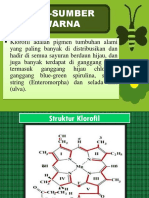 ZAT WARNA ALAMI: Klorofil