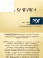 Elisa Sendwich