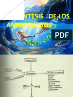 Biosintesis de Los Aminoacidos