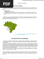 Complexo Do Pantanal