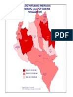 Mapas Mortalidad X Cusas 2010