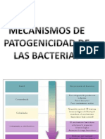 Mecanismode Patogenicidad de Las Bacterias