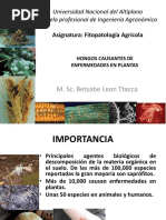 9. HONGOS Causantes de Enfermedades.compressed
