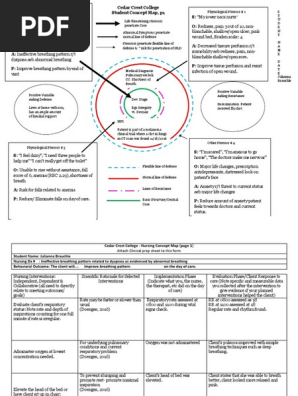 final concept map 