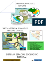 SISTEMA ESPACIAL ECOLOGICO NATURAL.pptx