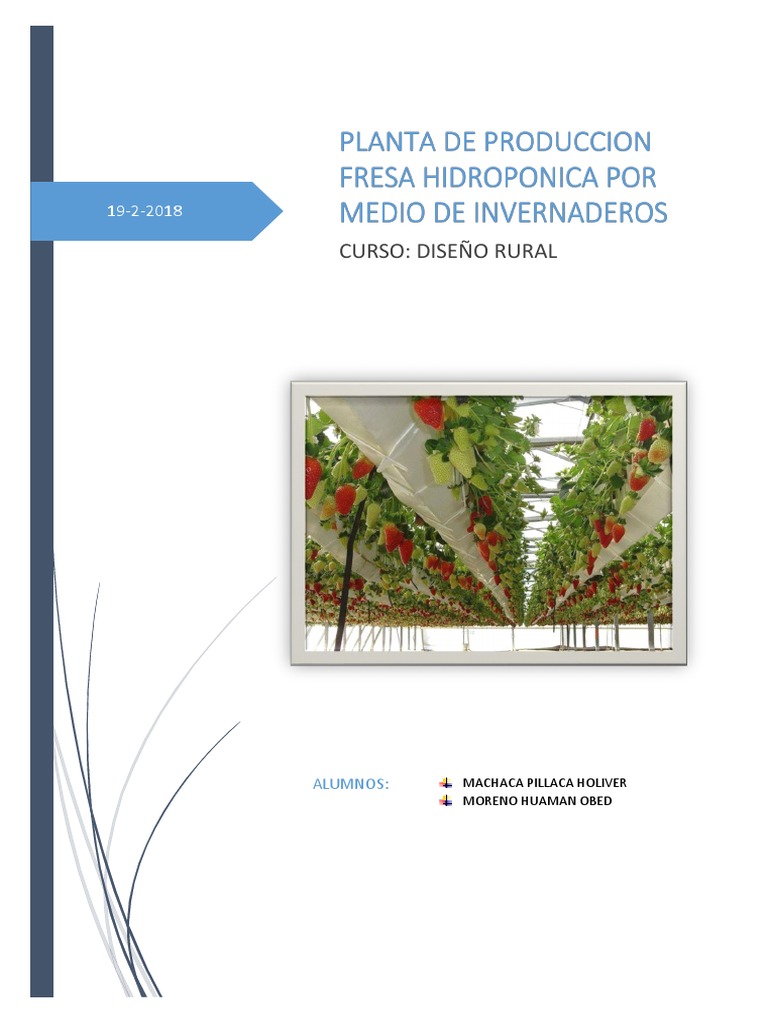 Cultivo Semi Hidropónico De Fresas Pdf