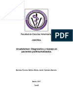 uroabdomen.pdf