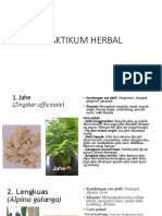 P. Herbal