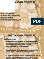 Aula 1 - Histologia Vegetal