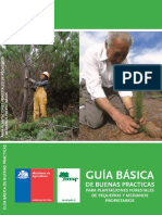 1386687876guiabuenaspracticas_ppf.pdf