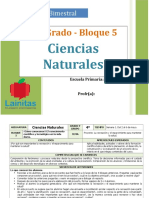 Plan 4to Grado - Bloque 5 Ciencias Naturales.doc
