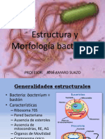 Estructura y Morfología Bacteriana