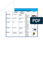 Tipos de Respiración