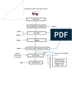 Diagrama de Flujo Del Pollo