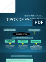 Escisión Total