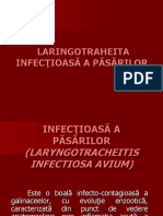 18 Laringotraheita Infectioasa Aviara PDF