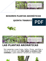 Taller AROMATICAS TRABUCCO 2.pdf